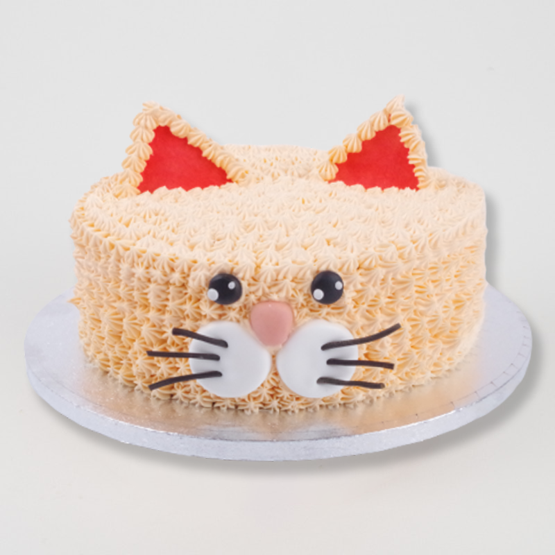 POES TAART